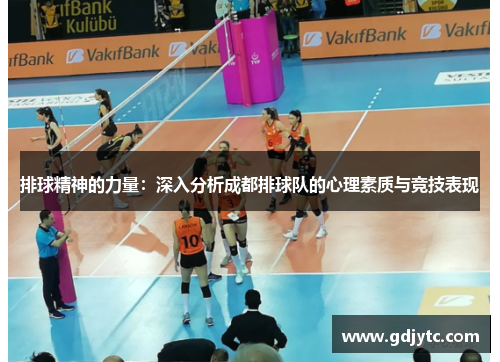 排球精神的力量：深入分析成都排球队的心理素质与竞技表现