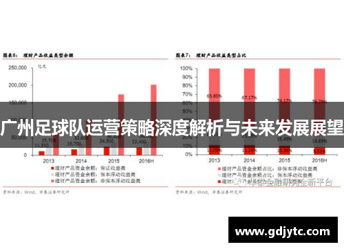 广州足球队运营策略深度解析与未来发展展望
