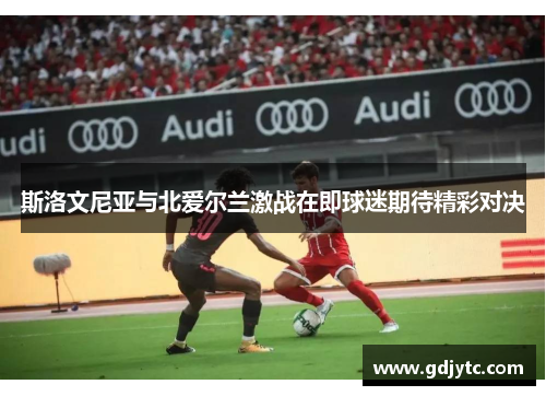 斯洛文尼亚与北爱尔兰激战在即球迷期待精彩对决